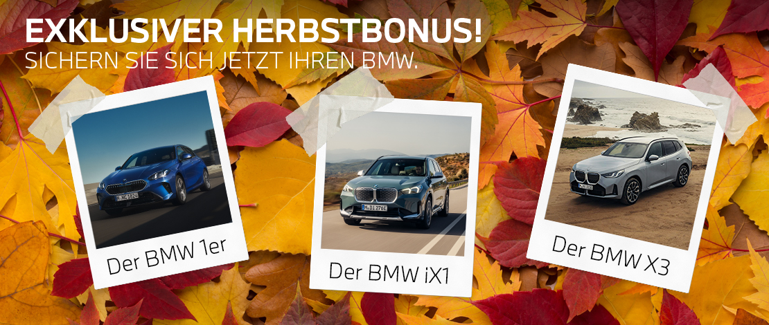 Ein Werbebanner im Herbst-Design auf einem Hintergrund aus buntem Herbstlaub in Gelb- und Rottönen. In der Mitte befindet sich ein mit Klebestreifen befestigtes Sofortbild (Polaroid), das einen silbergrauen BMW auf einer Straße bei sonnigem Wetter zeigt. Auf der rechten Seite liegt ein großes, halbtransparentes weißes Prozentzeichen (%) über den Blättern.