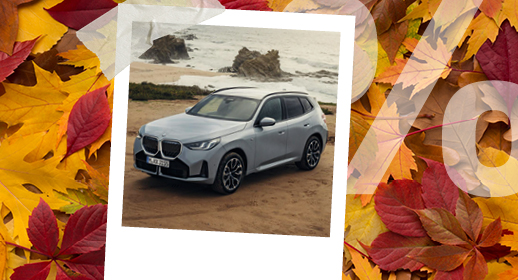 Ein Werbebanner im Herbst-Design auf einem Hintergrund aus buntem Herbstlaub in Gelb- und Rottönen. In der Mitte befindet sich ein mit Klebestreifen befestigtes Sofortbild (Polaroid), das einen silbergrauen BMW auf einer Straße bei sonnigem Wetter zeigt. Auf der rechten Seite liegt ein großes, halbtransparentes weißes Prozentzeichen (%) über den Blättern.